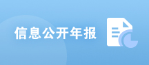 信息公开年报
